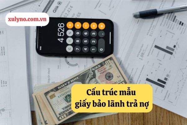 Cấu trúc mẫu giấy bảo lãnh trả nợ