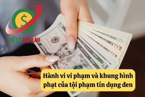 Tội phạm tín dụng đen là gì