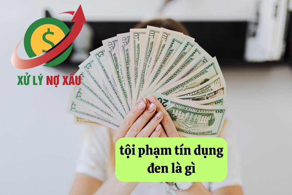 Tội phạm tín dụng đen là gì