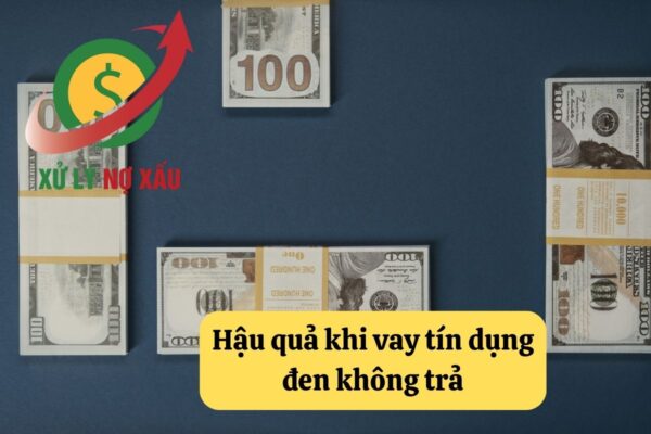 vay tín dụng đen không trả