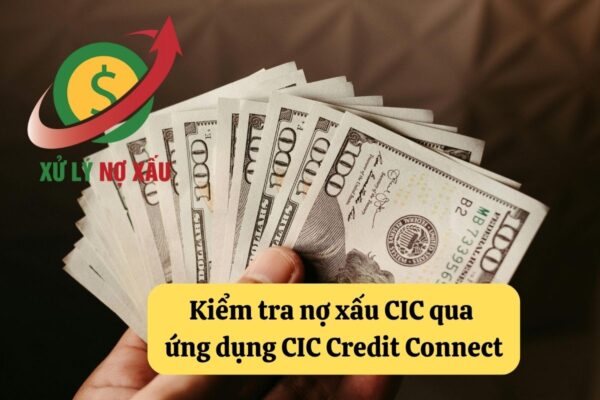 kiểm tra nợ xấu CIC