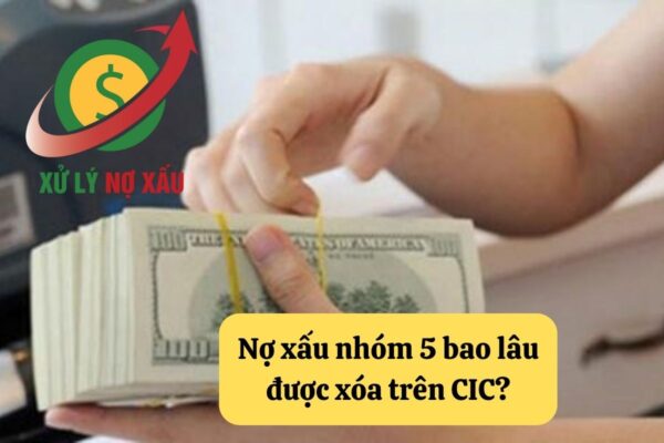 nợ xấu nhóm 5 bao lâu được xóa


