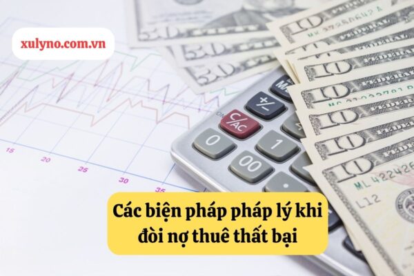 Các biện pháp pháp lý khi đòi nợ thuê cá nhân với cá nhân thất bại