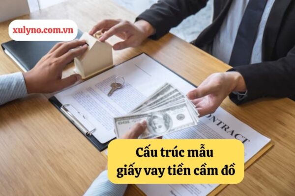 Cấu trúc mẫu mẫu giấy vay tiền cầm đồ