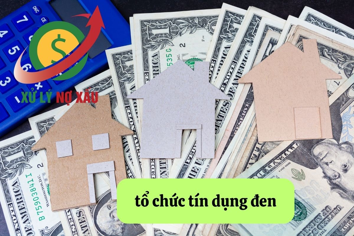 Tổ chức tín dụng đen